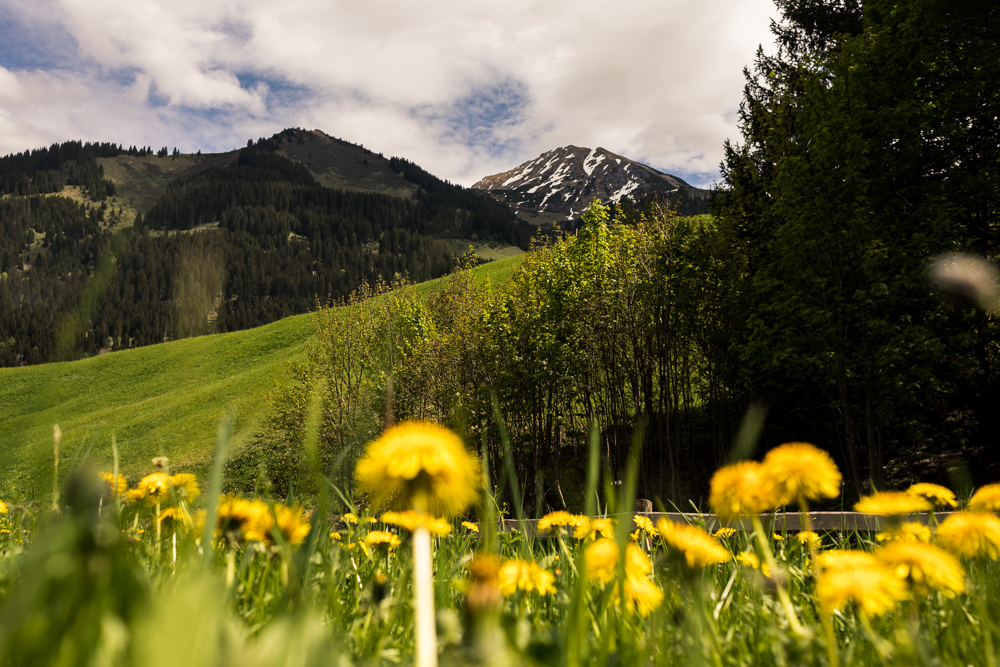 Lage Gästehaus Arnika im Sommer Aktivitäten im Kleinwalsertal
